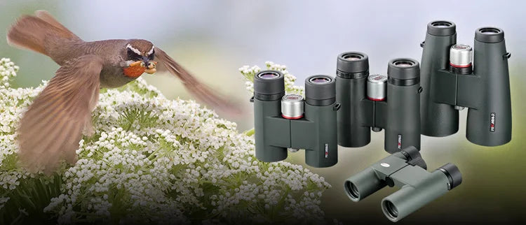 Japan Binoculars KOWA  XD Lens Ultra HD Waterproof Binoculars for Bird Watching concert Traveling Hunting 8x56 Large Binoculars